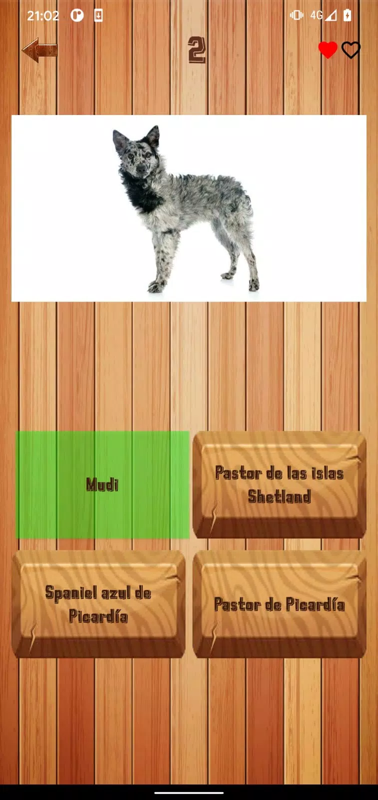 Guess dog breed Ảnh chụp màn hình 1