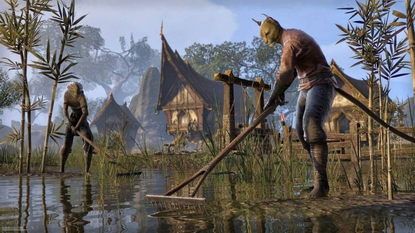 Gumastos ang Gamer ng $ 100,000 para sa papel na Elder Scrolls VI