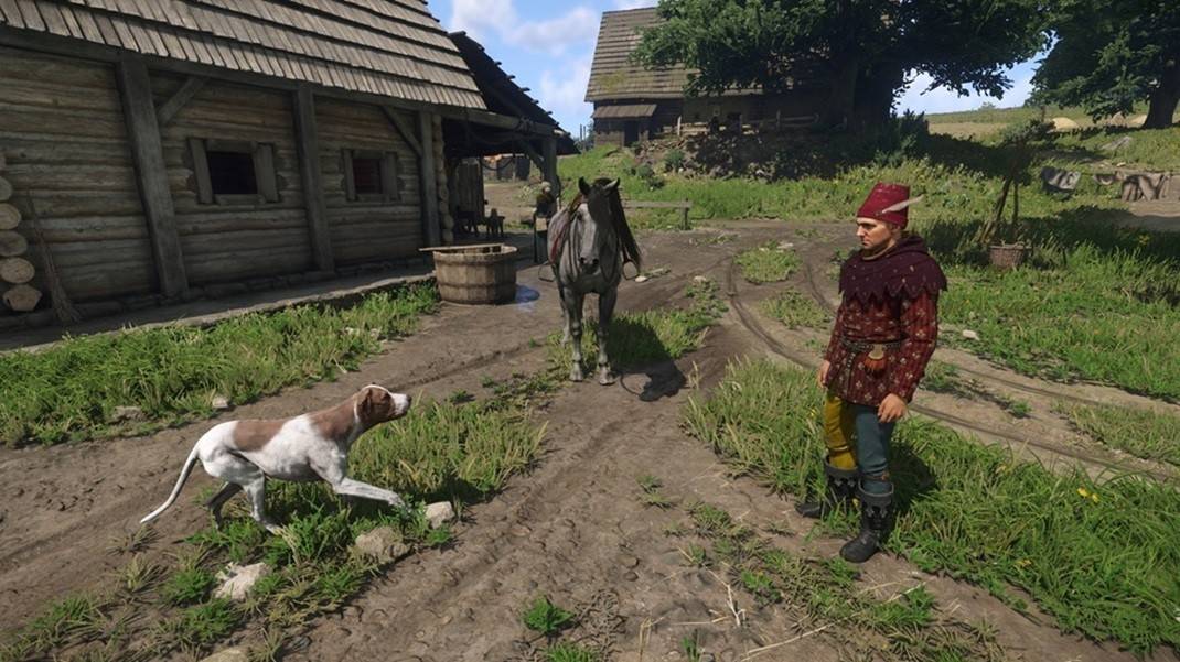 Hundebegleiter Mutt