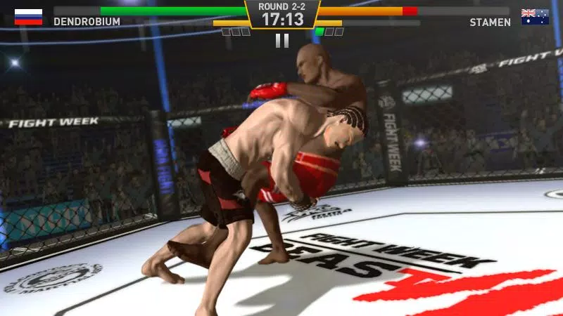Fighting Star Captura de tela 3