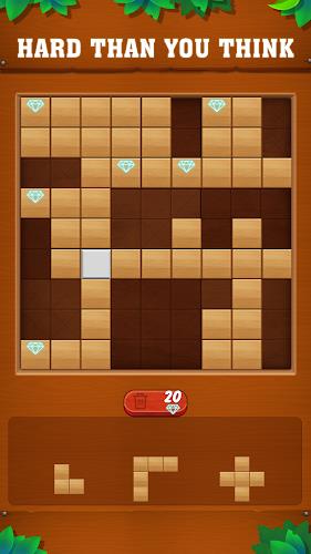 Tetrudoku: Block Puzzle应用截图第1张