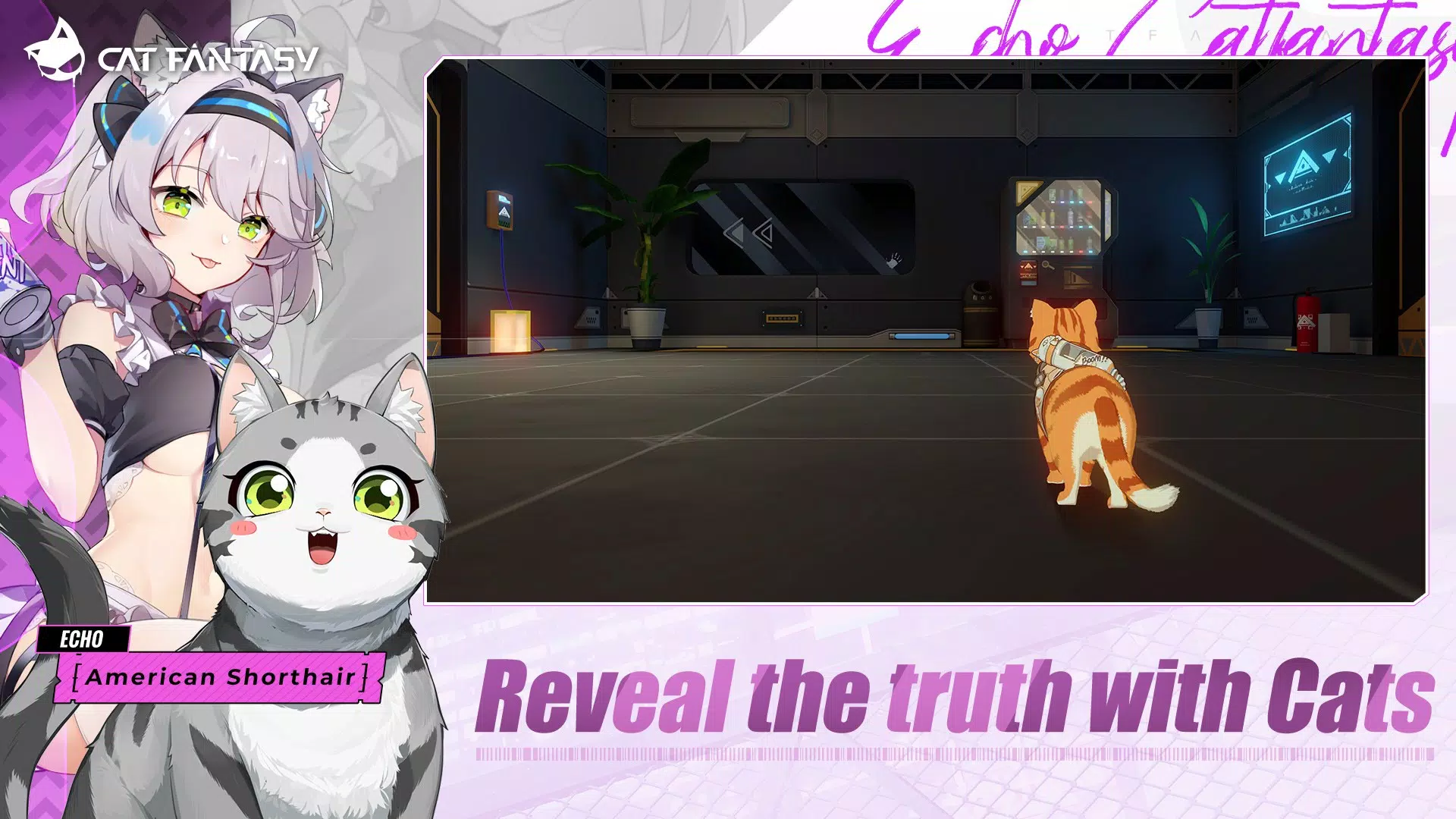Cat Fantasy:PH Captura de pantalla 3