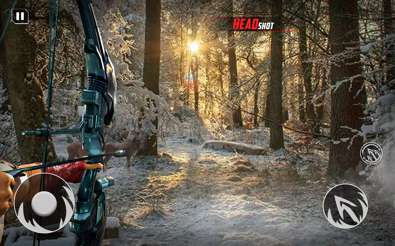 Archery Bow Hunt Shooting V2 Capture d'écran 1