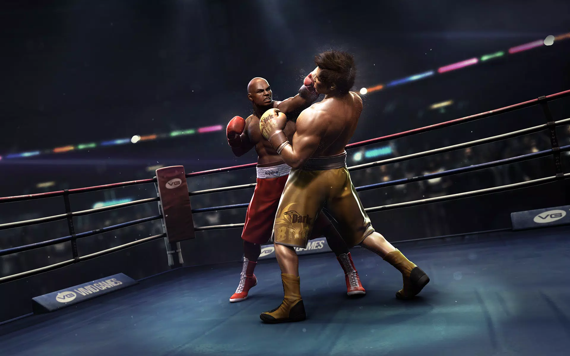 Real Boxing应用截图第0张