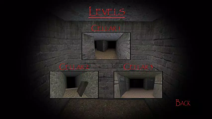 Slendrina: The Cellar スクリーンショット 1