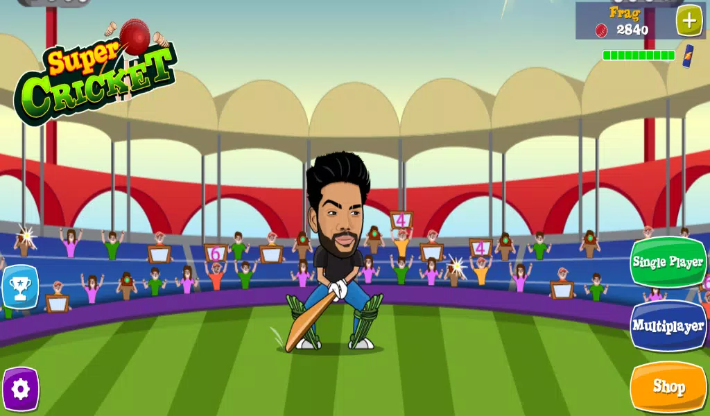 Super Cricket Ekran Görüntüsü 0