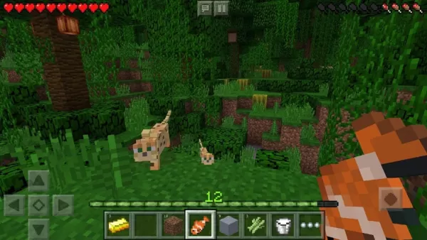 Création de jeux: l'appel addictif a expliqué