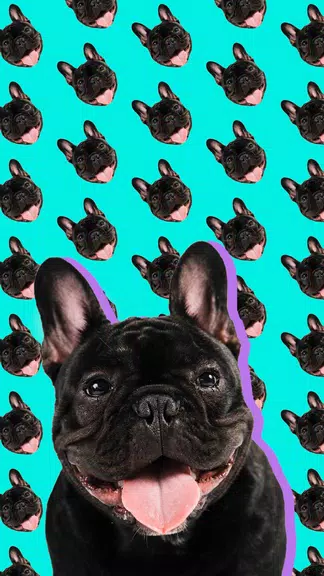 Patternator: Wallpaper Editor應用截圖第1張