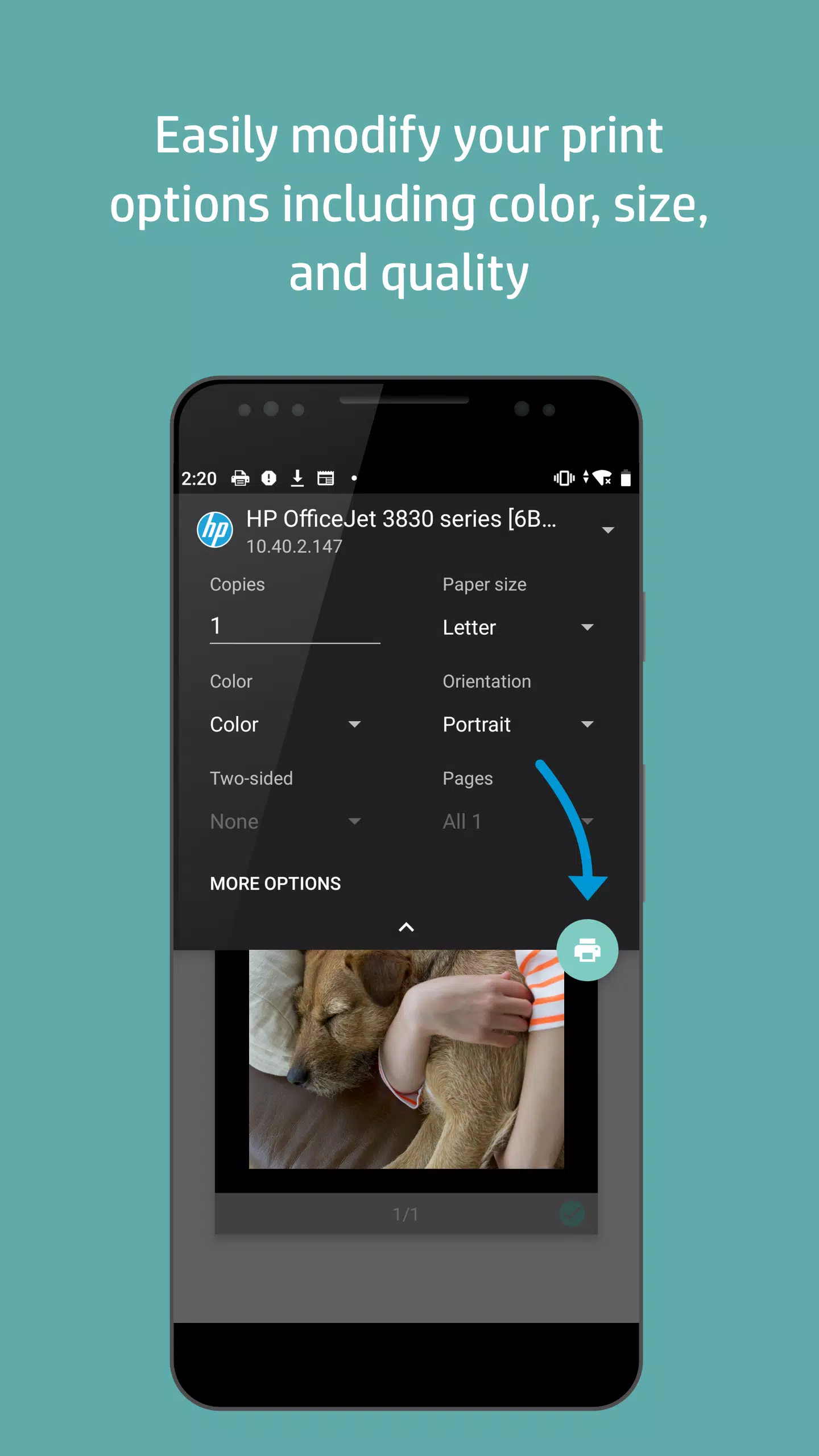 HP Druckdienst-Plug-In Screenshot 3