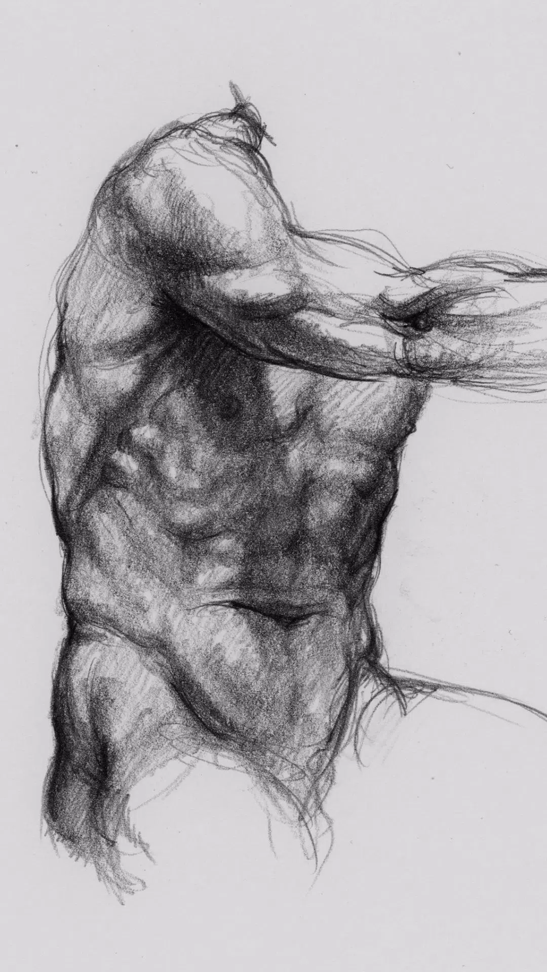 Anatomia 3D para artistas Captura de tela 0
