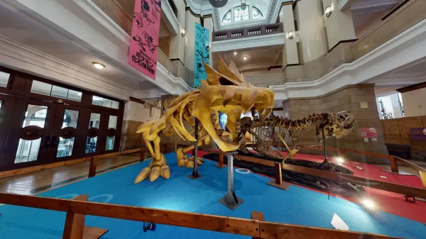 Pokémon Fossil Museum Heads to US Next Year