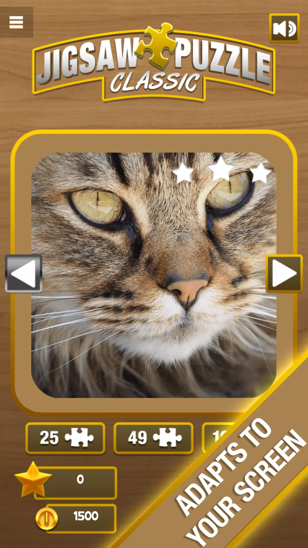 Jigsaw Puzzle Captura de tela 2