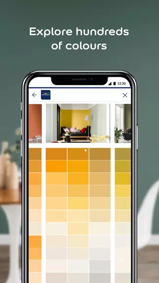 Dulux Visualizer PK ဖန်သားပြင်ဓာတ်ပုံ 1