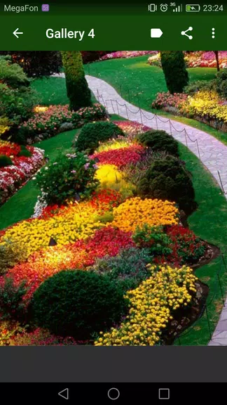 Landscaping Design Скриншот 3