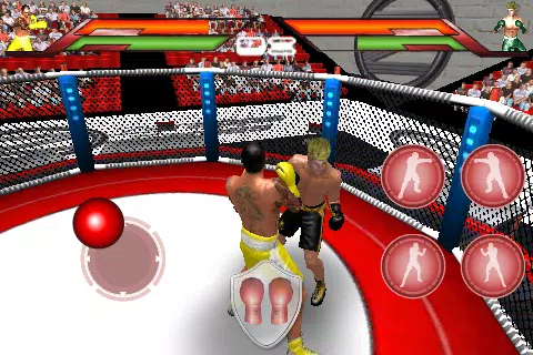 Virtual Boxing स्क्रीनशॉट 0