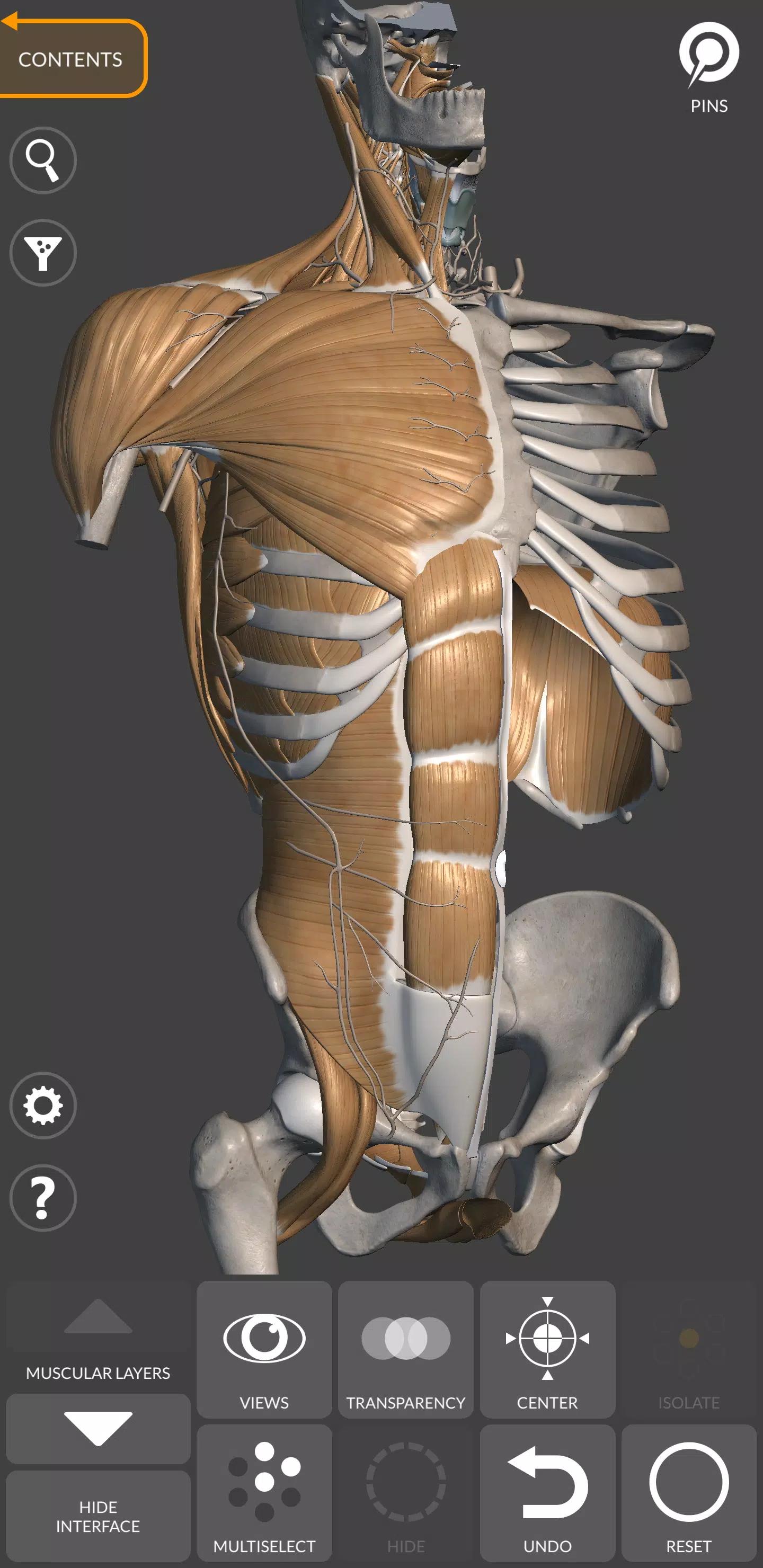 Anatomia 3D para artistas Captura de tela 1