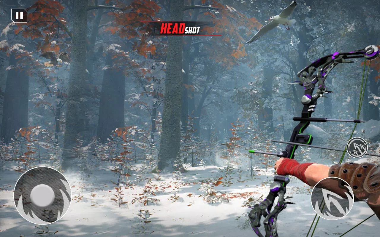 Archery Bow Hunt Shooting V2 Capture d'écran 2