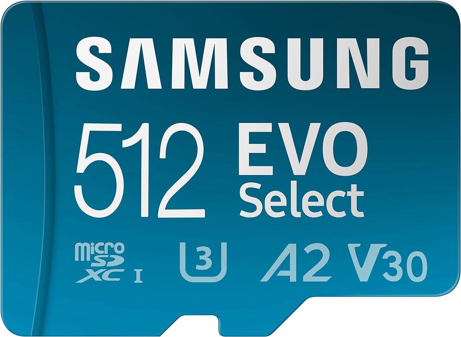 Budget Samsung EVO Select SD card