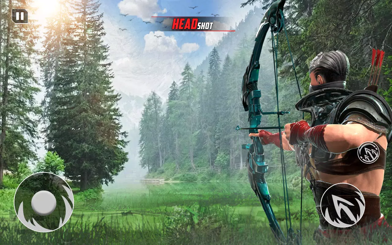 Archery Bow Hunt Shooting V2 Capture d'écran 0