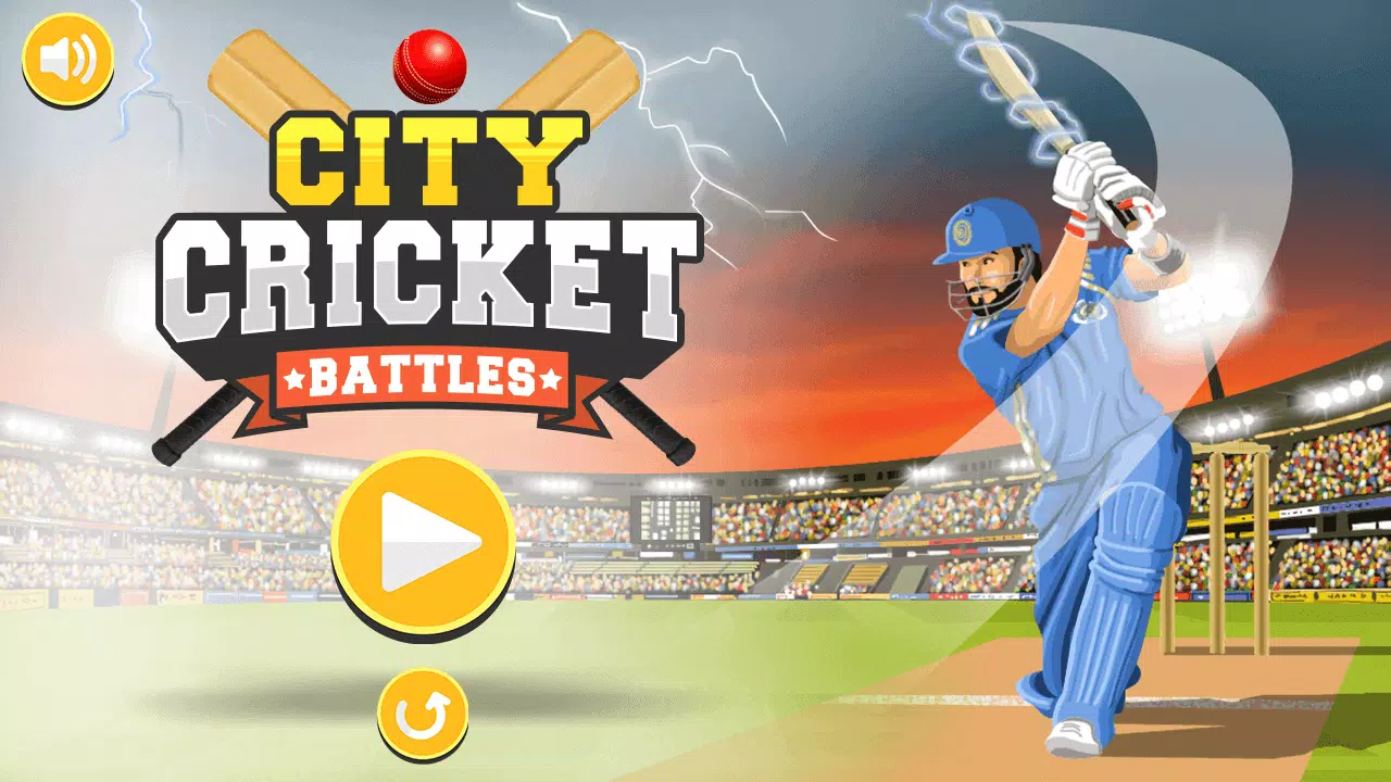 City Cricket Game应用截图第3张