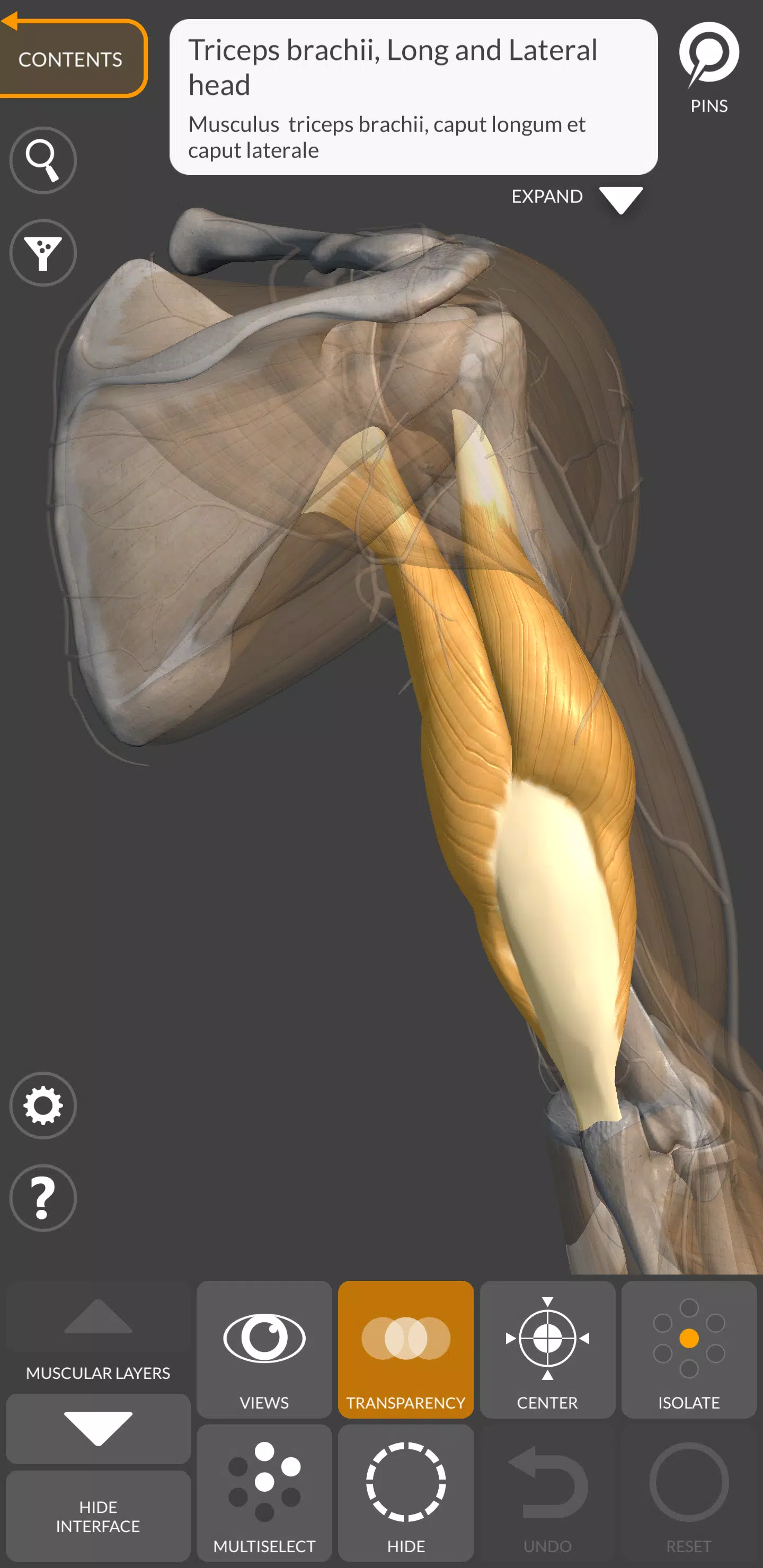 Anatomia 3D para artistas Captura de tela 2