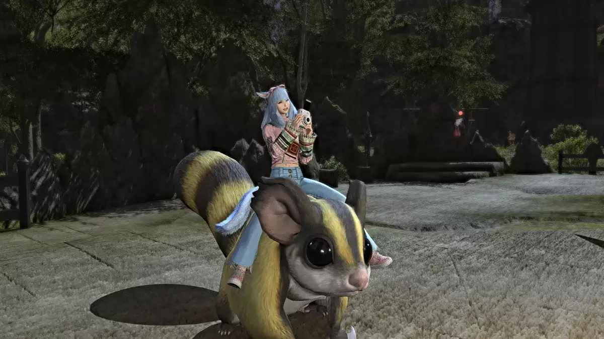 Fotografi EMOTE su un supporto in FFXIV - Screenshot da The Escapist